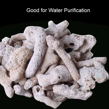 250 g Prirodni coral костяной biokemijski kuglasti filter materijal нитрифицирующие bakterije kuća akvarij Čista voda kvalitetne materijale